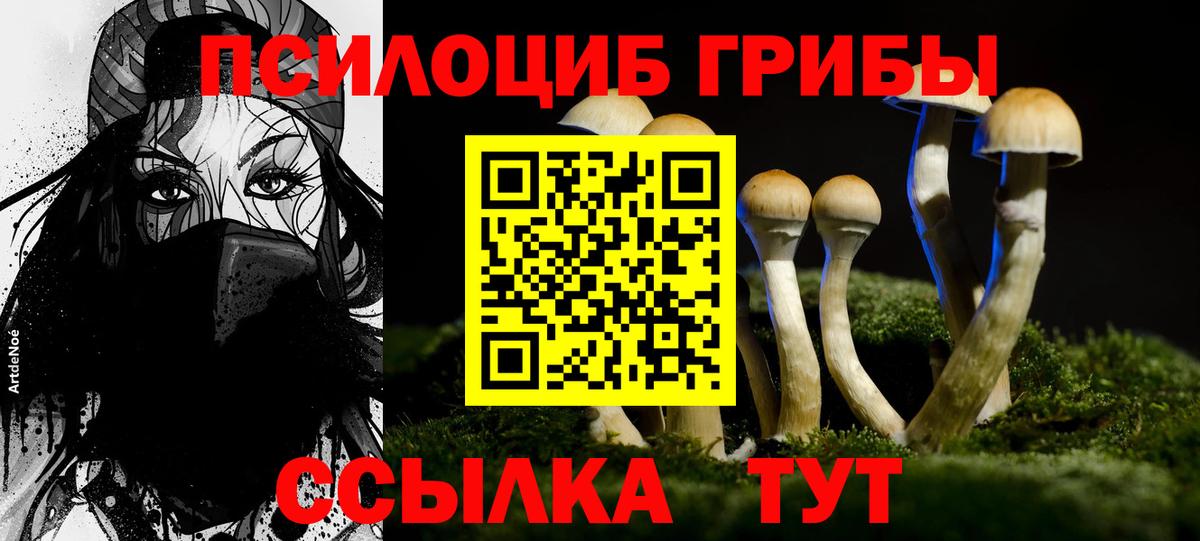 Псилоцибиновые грибы MAGIC MUSHROOMS  Вход с VPN  Галлюциногенные грибы мухоморы  купить закладку  Обнинск 